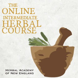 Learn Herbalism Online with the Herbal Academy of New England